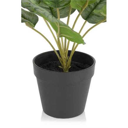 Coco Maison Calathea Orbifolia H45cm kunstplant